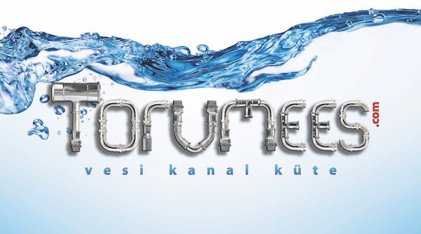 Torumees OÜ logo